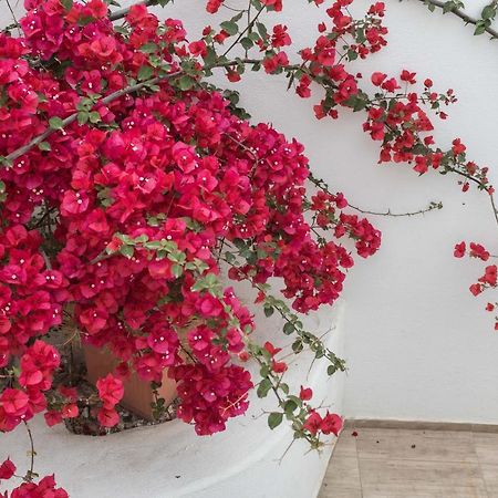Depis suites&apartments Agia Anna  Buitenkant foto